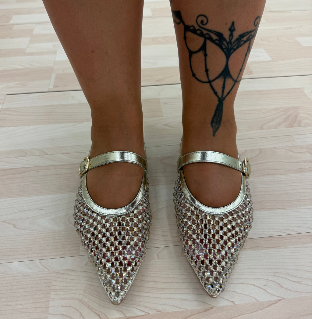 Ballerina SHINE ✨