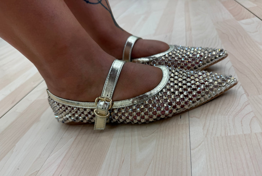 Ballerina SHINE ✨